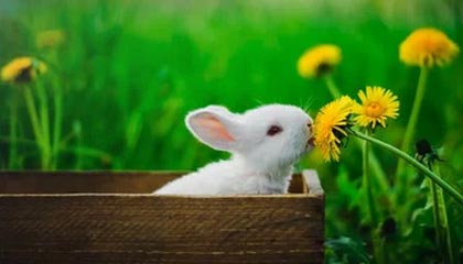 欧冠最新版-韩媒：中超告别天价外援 韩国球员或成热捧对象